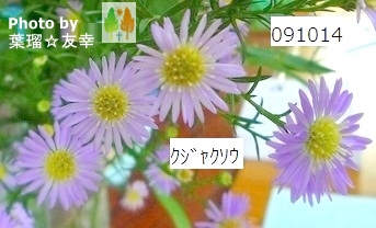 NWN\E